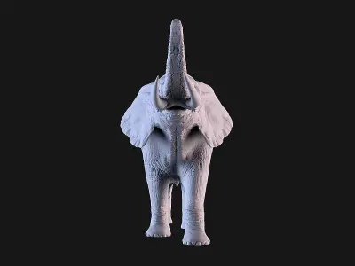 Elephant 3D print model shop