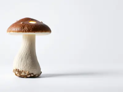 Stylized Glowing Mushroom with Surreal Design model pack Low-poly 3D model