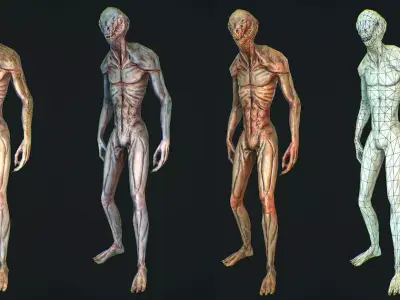 Character Reptile Animation Rig  Low-poly 3D model
