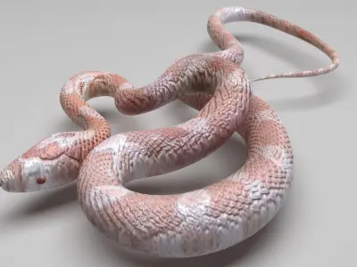 Pink Snake 3D model