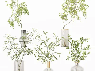 Collection Indoor Plant 01 3D Model Pack