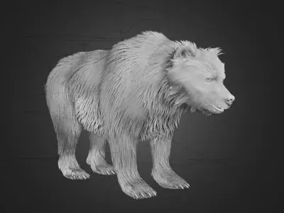 Brown Bear Animated and Rigged 3D model