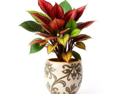 Vibrant Decorative Plant model pack Low-poly 3D model