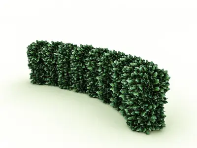 Garden Material 3D model