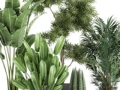 Collection of decorative plants in flowerpots 754 3D model