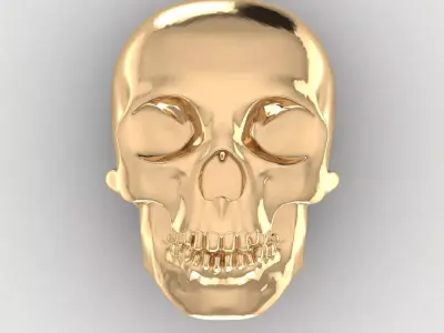 Skull 11 3D print model