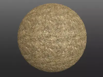 Sheep Fur 4k Texture Texture