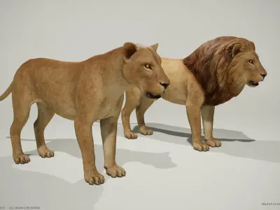 3D Lion and Lioness - Game Ready PBR Low-poly 3D model