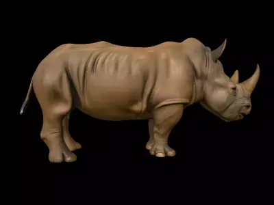 Rhino 3d model Low-poly 3D model