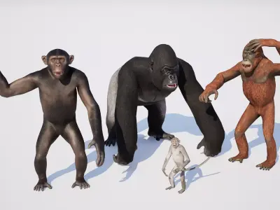 Monkeys 3D model