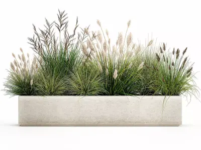 Potted reeds for landscaping 1076 3D model