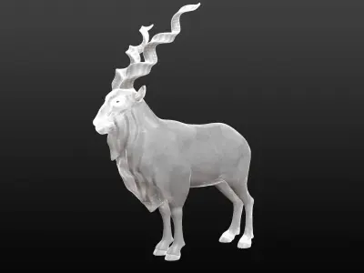 Markhor Base Mesh 3D model