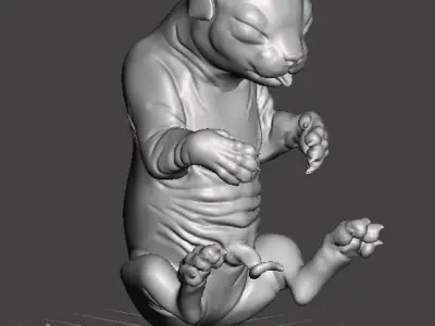 Fetal Kitten Cat Fetus 3D model