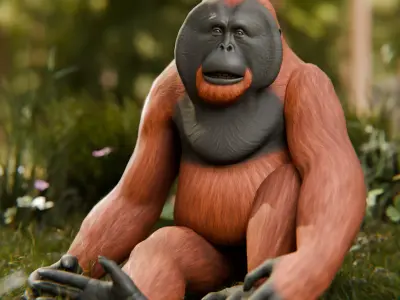 Orangutan Animal 3D Model Low-poly 3D model