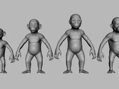 Baby Primate BaseMesh  Low-poly 3D model