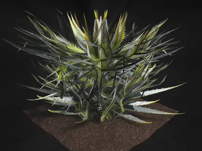 Valars Plant Pack 3D model