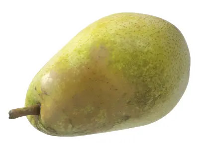 Kieffer Pear 3D model