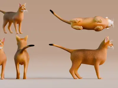 Low poly - Stylized cats - Abyssinian Cat Low-poly 3D model