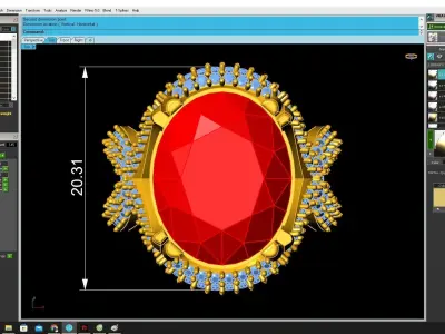 Luxury Double Halo Gemstone Women Ring  3434 3D print model
