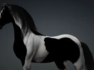 Horse-B1 3D model