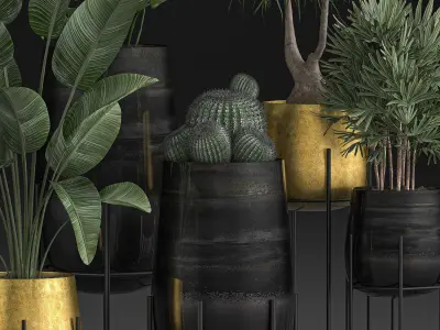 Decorative plants in Luxury Gold Pots for the interior 545 3D model