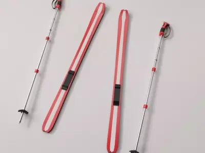 Skis and Poles 3D model