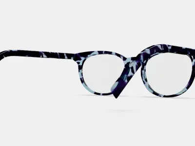 Sadie Eyeglasses in Riverbed Tortoise 3D model