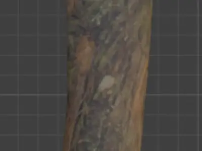 Tree Debris Collection - Realistic Wood Fragments Free 3D model