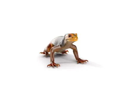 Realistic Lizard D Model Pack for Animation and Games Low-poly 3D model