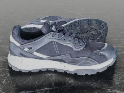 MICHELIN 3D SHOES Low-poly 3D model