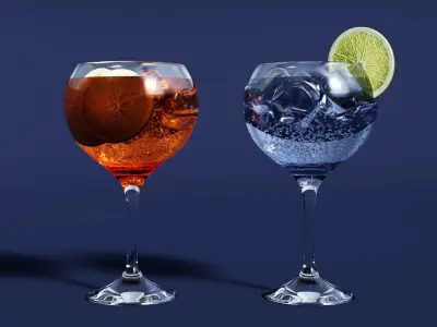 Drink Glass - Tropical Gin and Gin Tonic 3D model