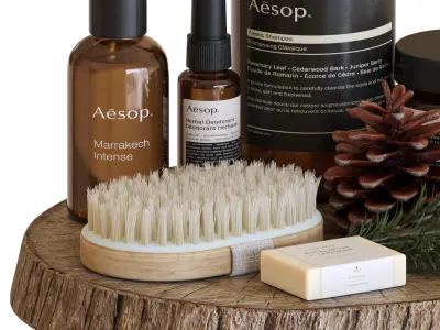 Bathroom Accessories 10 3D model