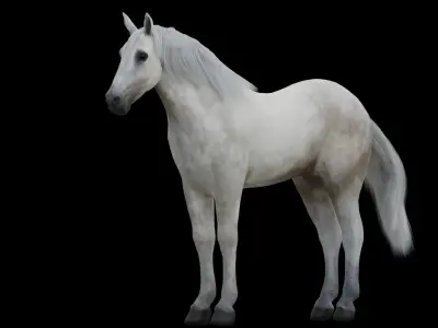 White Horse Low Poly Game-Ready PBR Rigged Animated Low-poly 3D model