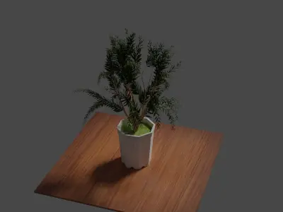 Tabletop Decoration Pot Plant 3D model