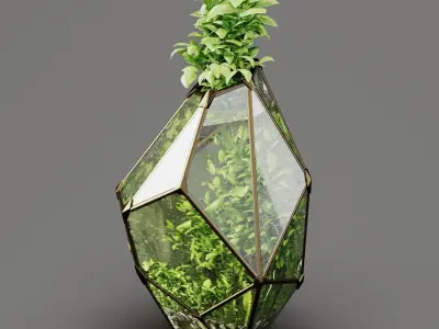 Decorative Fluval Anubias Plant 3D model