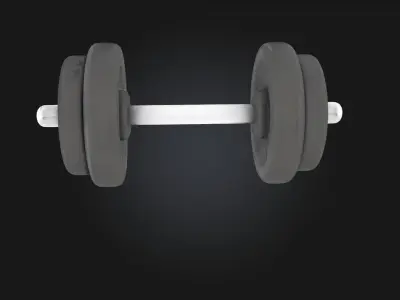 Dumbbell Display  Compact Strength with a Polished Presentation 3D model