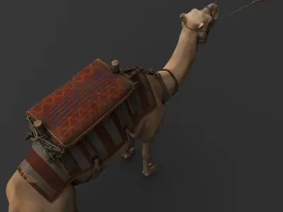 Camel with saddle 3D model