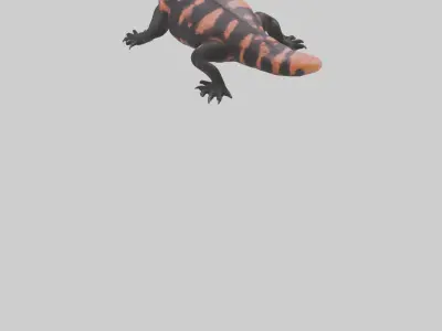 Gila Monster sunning model Low-poly 3D model