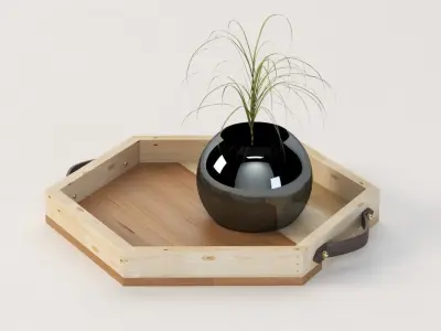 Reclaimed Wooden Hexagon Tray with Interior Planter Centerpiece 3D model