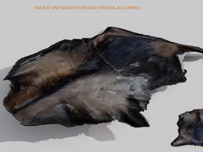 animal pelts volume one Unreal and Unity  Low-poly 3D model