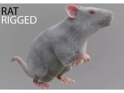 RET FOR VFX CGI 3D model