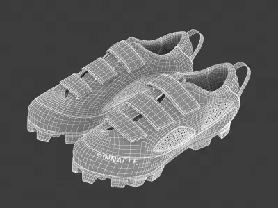 Cycling Shoes 3D model