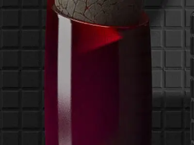 PLANTS SET vases with succulents 3D model