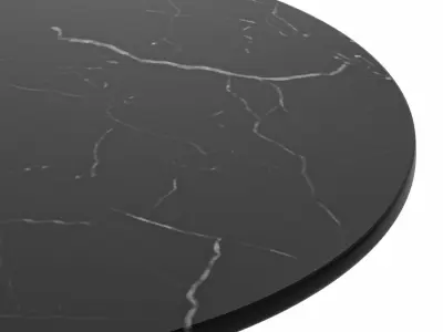 Tulip Marble 80 White Black Low-poly 3D model