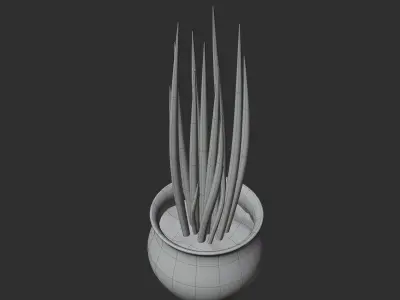 Sansevieria cylindrica - Sword of Ogum Free 3D model