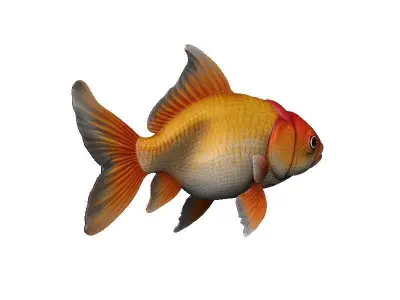 Goldfish Low-poly 3D model