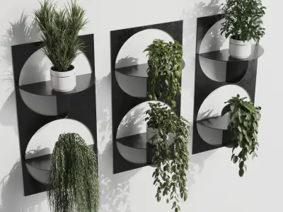 wall plant set Indoor plant 324 plants in on a shelf Low-poly 3D model