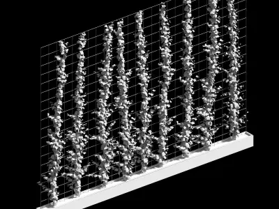 Vertical plant partition 3D model