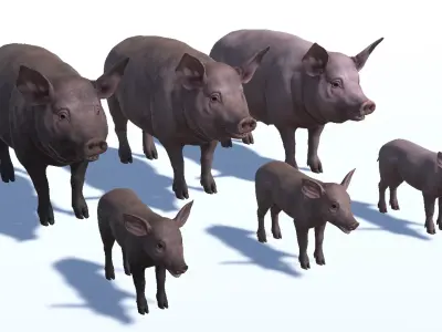 PIG FAMILY Low-poly 3D model
