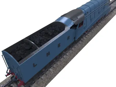 Mallard Train Low-poly 3D model
